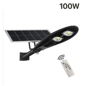 Đèn đường chiếc lá NLMT- 100W
